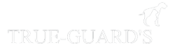 <br />
<b>Warning</b>:  Undefined variable $result_mainlink in <b>/home/u926482828/domains/60dweb.com/public_html/trueguard/include/header.php</b> on line <b>13</b><br />
<br />
<b>Warning</b>:  Trying to access array offset on value of type null in <b>/home/u926482828/domains/60dweb.com/public_html/trueguard/include/header.php</b> on line <b>13</b><br />
